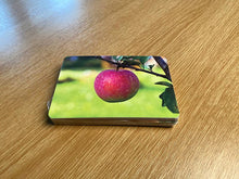 Load image into Gallery viewer, See and Learn Phrases 2 Picture Cards