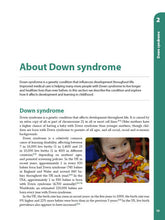 Load image into Gallery viewer, A Reading and Language Intervention for Children with Down Syndrome - Teacher's Handbook