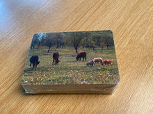 Load image into Gallery viewer, See and Learn Sentences 1 Word Picture Cards (157)