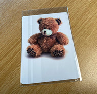 See and Learn First Counting Animal Cards Set