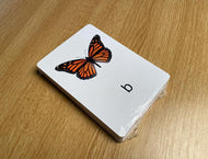 See and Learn Speech Sounds - 41 Sound Cards